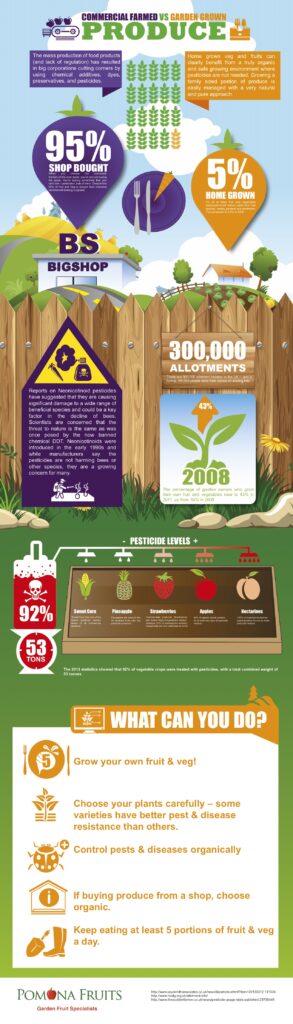 Commercially Grown VS Garden Grown Produce Infographic Design